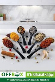 OFFBOX 6 Adet Baharat Kaşığı Kahvaltılık Baharatlık Kaşığı Kaşık Seti BK-06