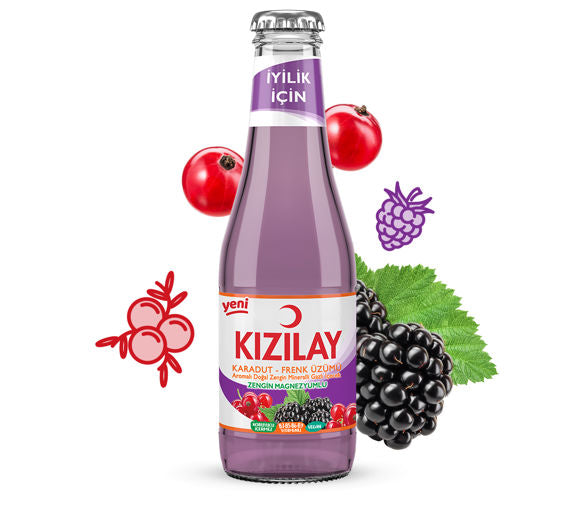 Kızılay Karadut-Frenk Üzümü 200mlx24 adet