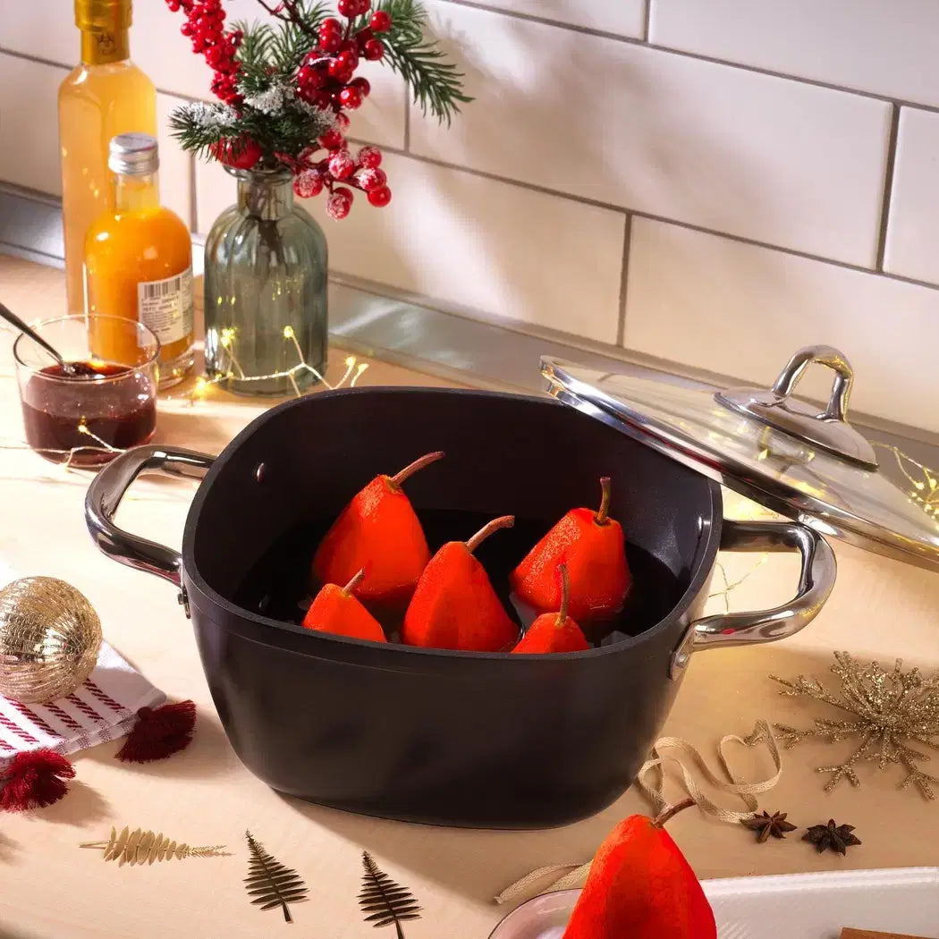 SCHAFER Gastronomie Master Granit Derin Tencere - 20Cm