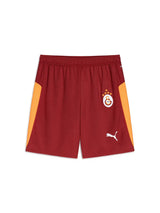Galatasaray Erkek Iç Saha Parçalı Şort - 2025/2026