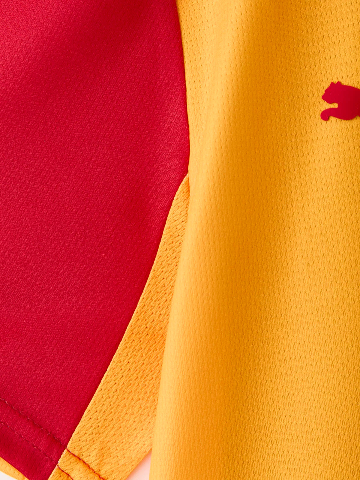 Galatasaray Puma 2026/2027 İç Saha Parçalı Forma 78499101