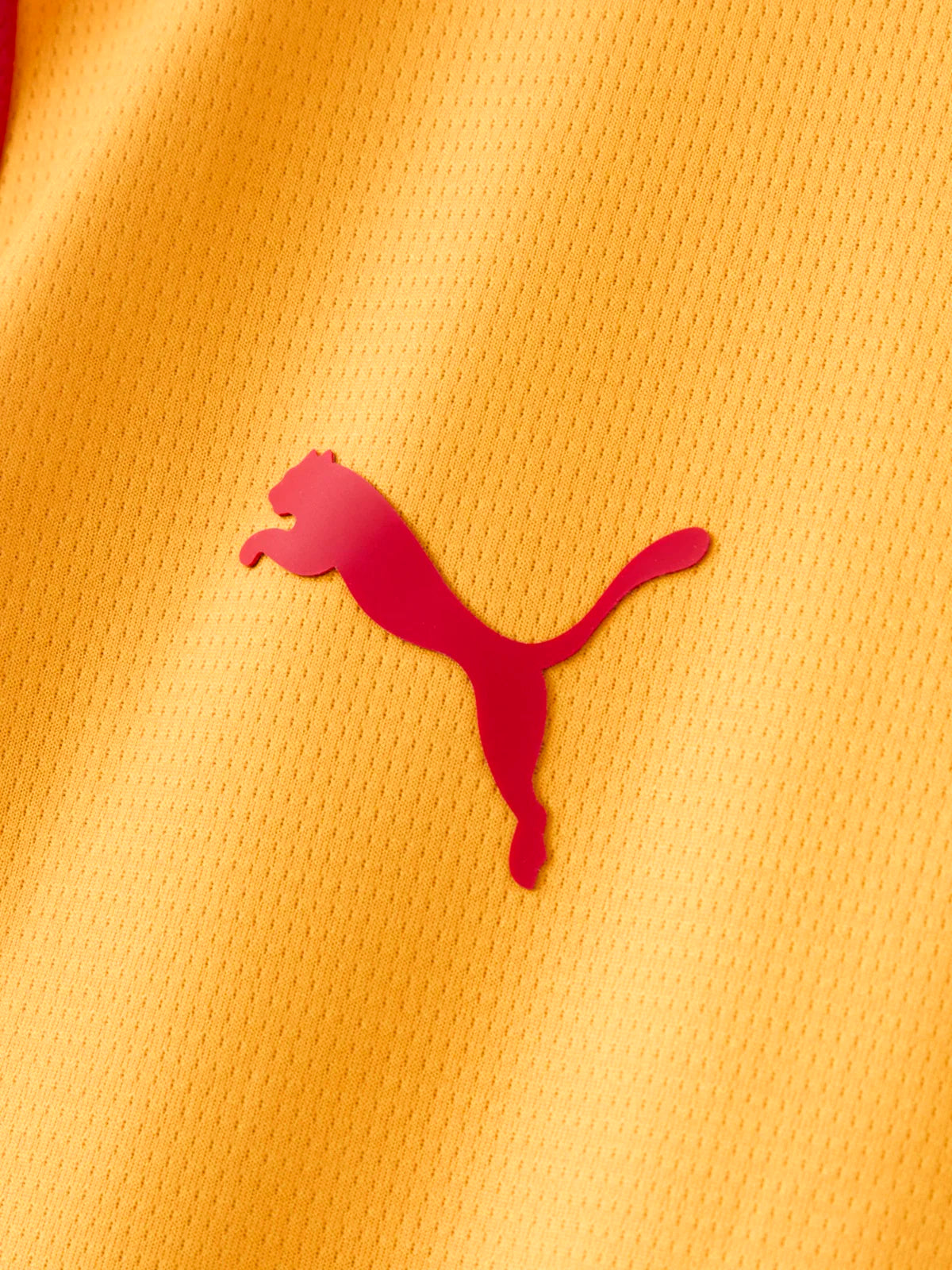 Galatasaray Puma 2026/2027 İç Saha Parçalı Forma 78499101