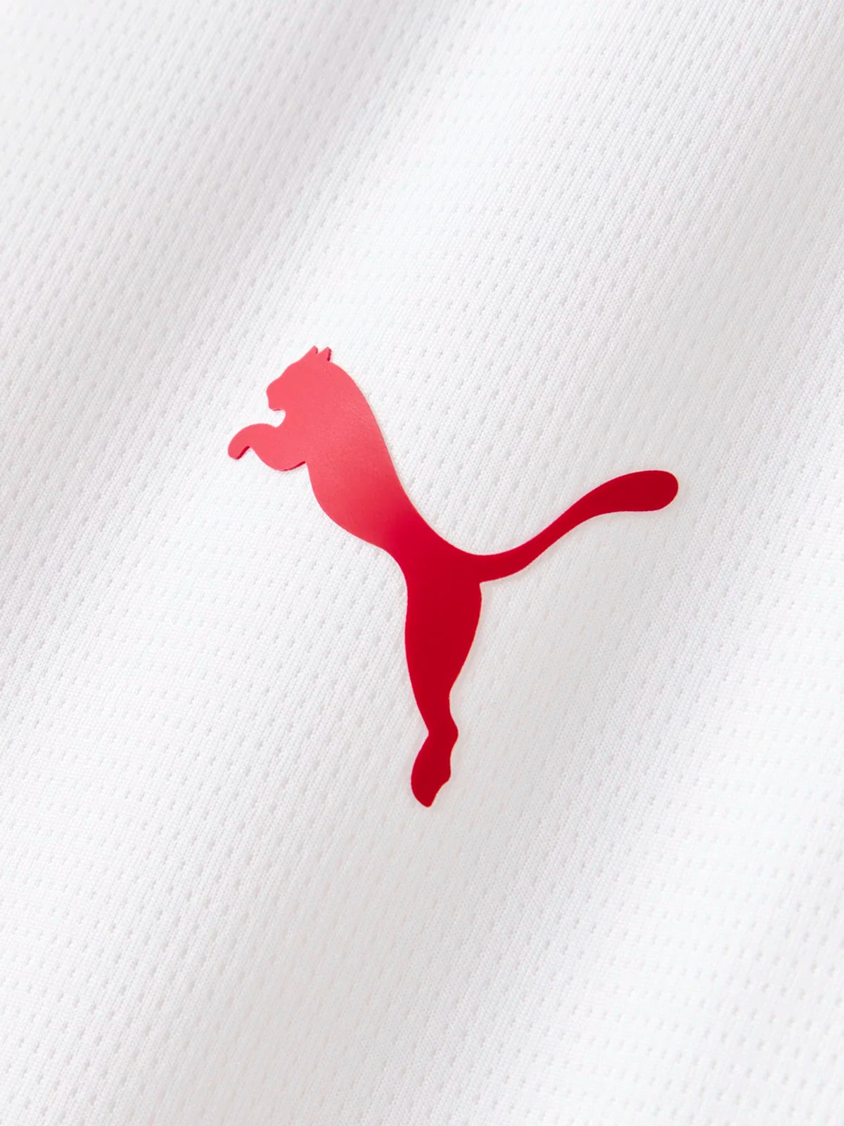 Galatasaray Puma 2026/2027 Alternatif Forma 78500202