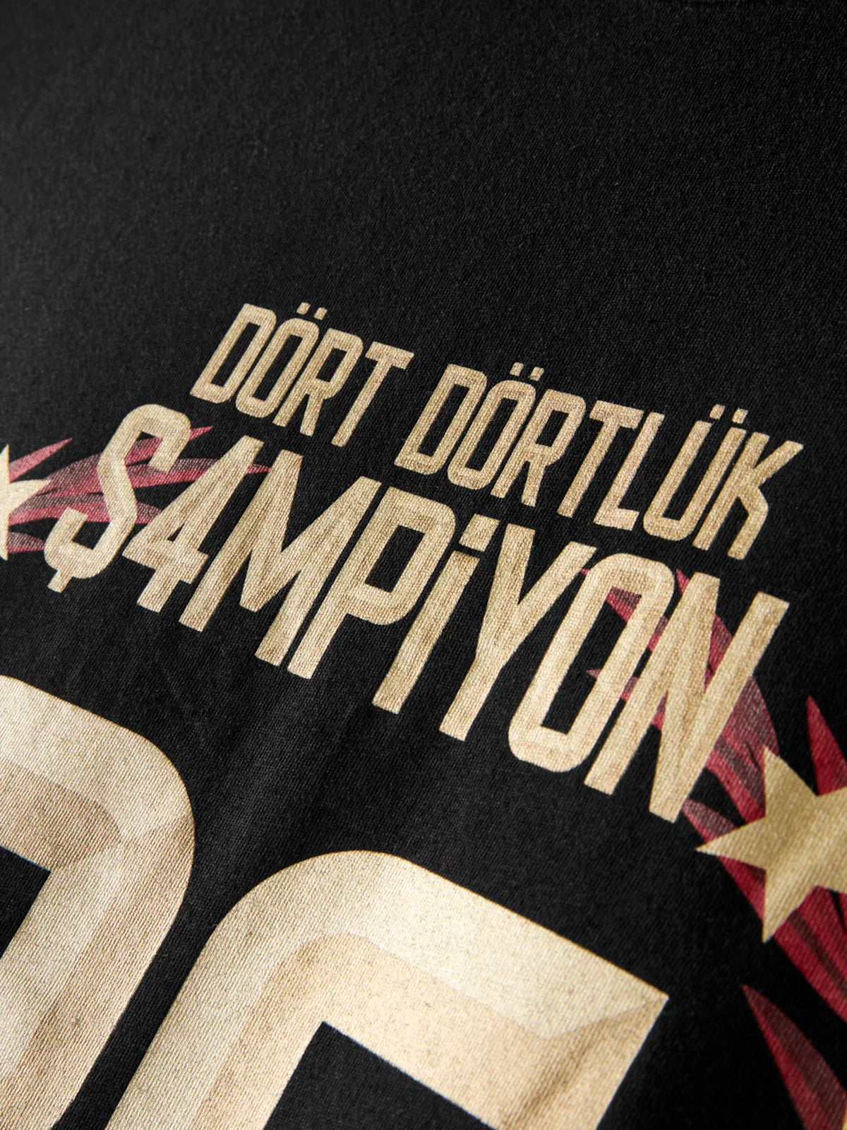 Galatasaray 26. Şampiyonluk T-Shirt E261166