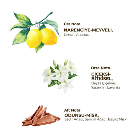 Eyüp Sabri Tuncer Fresh - Kadın Roll On Deodorant 75 ml